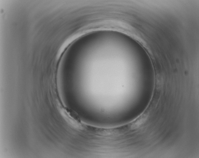 X0000066121530200603171741