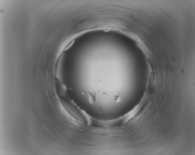 X0000066121532200603171741