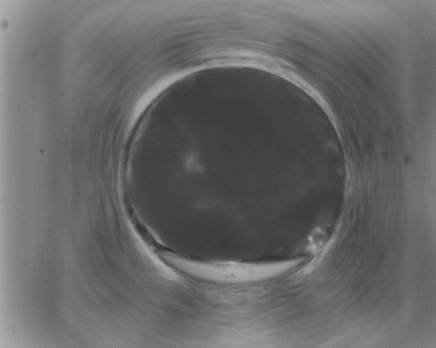 X0000066121533200603171741