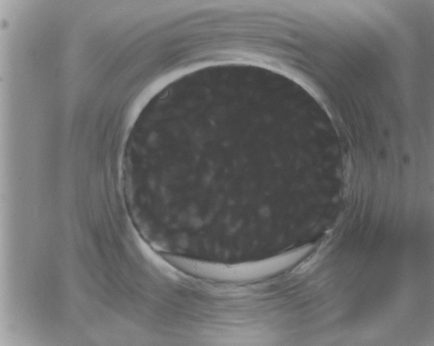 X0000066121535200603171741