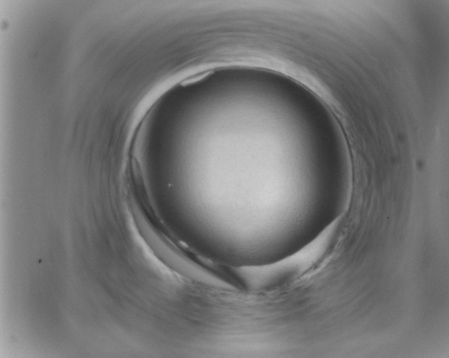 X0000066121536200603171741