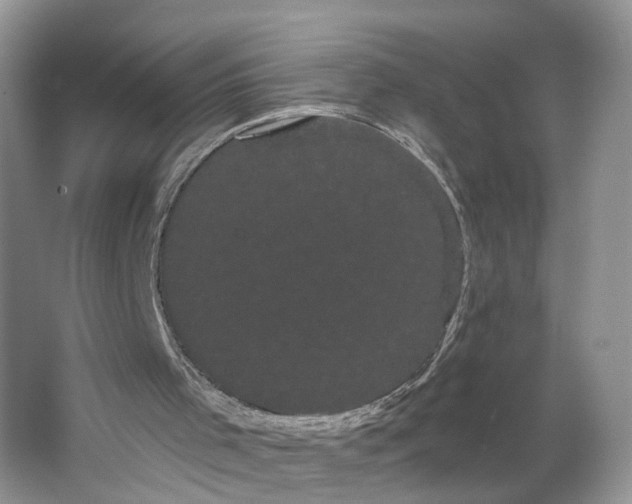 X0000066120001200603241622