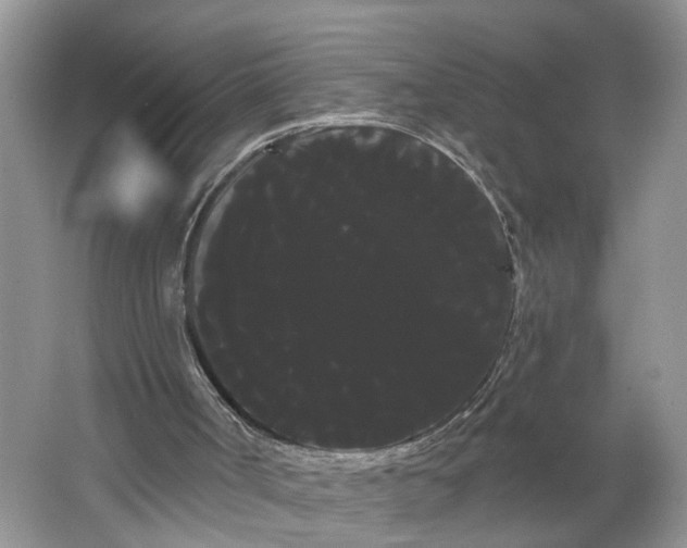 X0000066120002200603241622