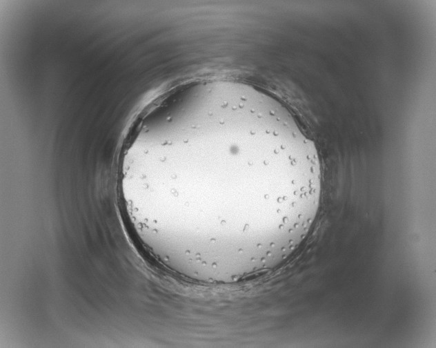 X0000066120003200603241622