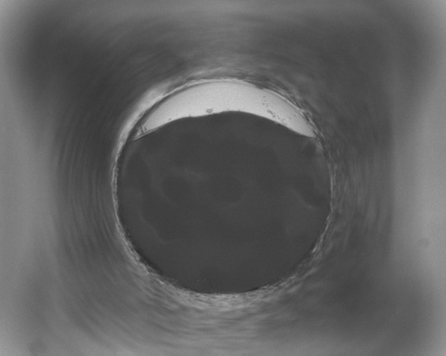 X0000066120006200603241622