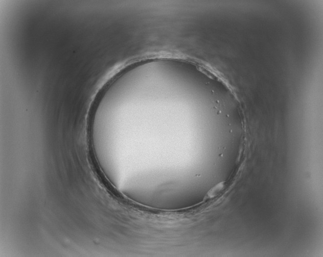 X0000066120008200603241622