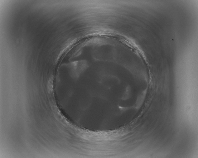 X0000066120010200603241622