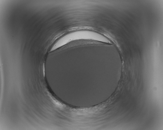 X0000066120013200603241622