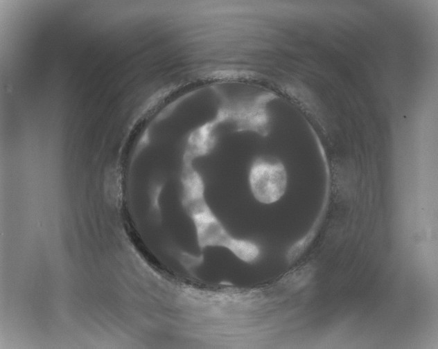 X0000066120016200603241622