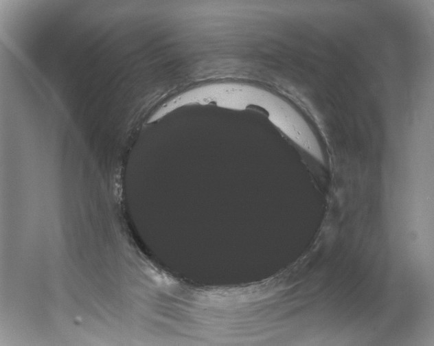 X0000066120017200603241622