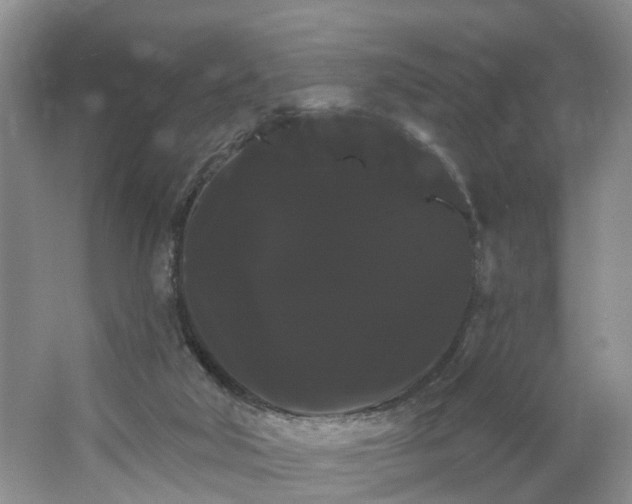 X0000066120018200603241622