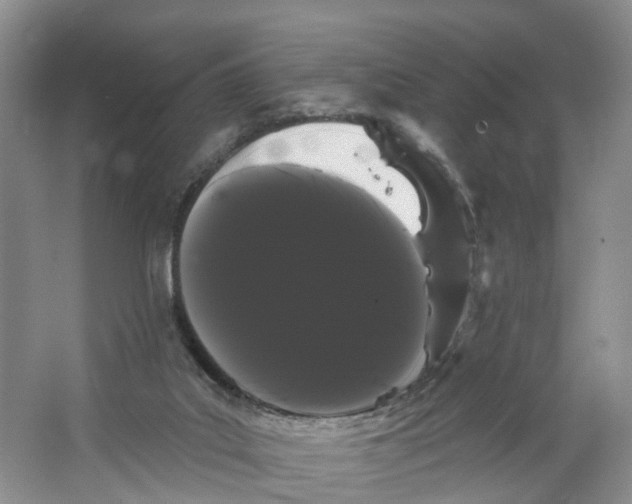 X0000066120019200603241622