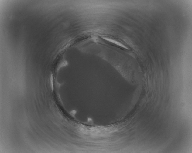 X0000066120022200603241622