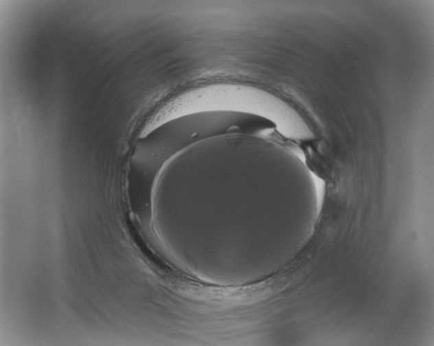 X0000066120023200603241622