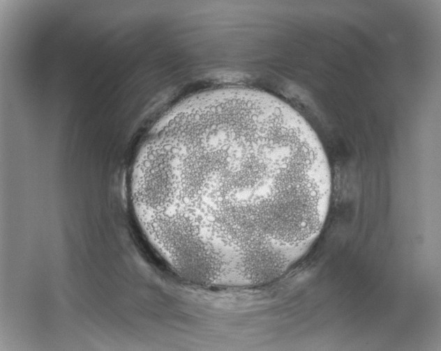 X0000066120024200603241622