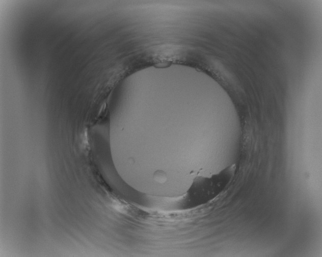 X0000066120025200603241622