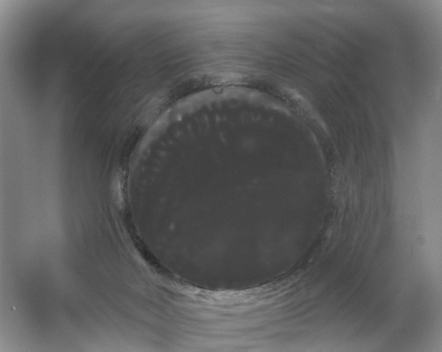 X0000066120026200603241622