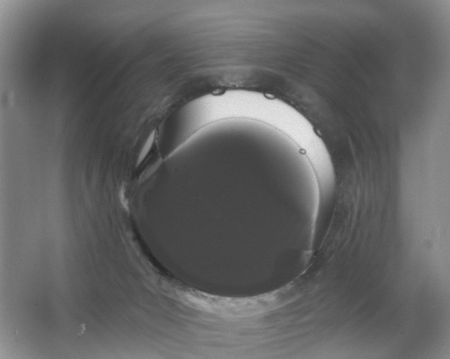 X0000066120031200603241622