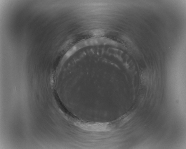 X0000066120032200603241622