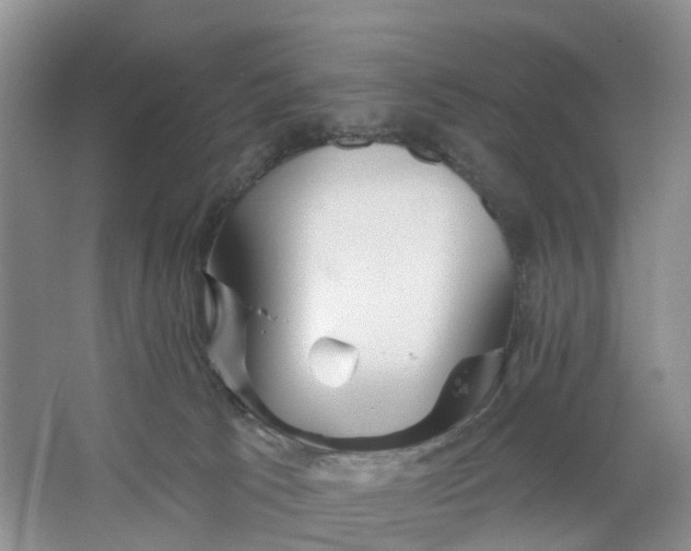 X0000066120033200603241622