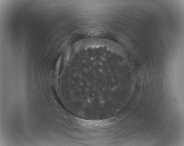 X0000066120034200603241622