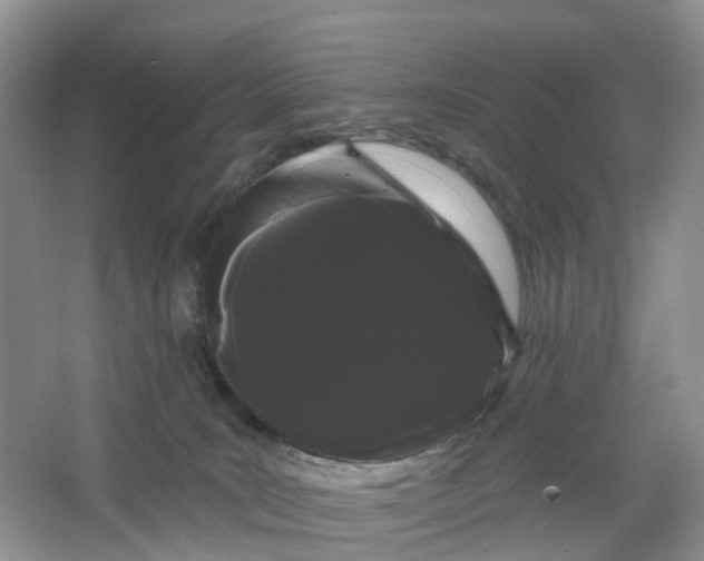 X0000066120035200603241622