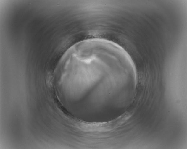 X0000066120036200603241622