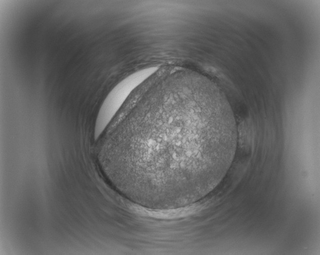 X0000066120038200603241622