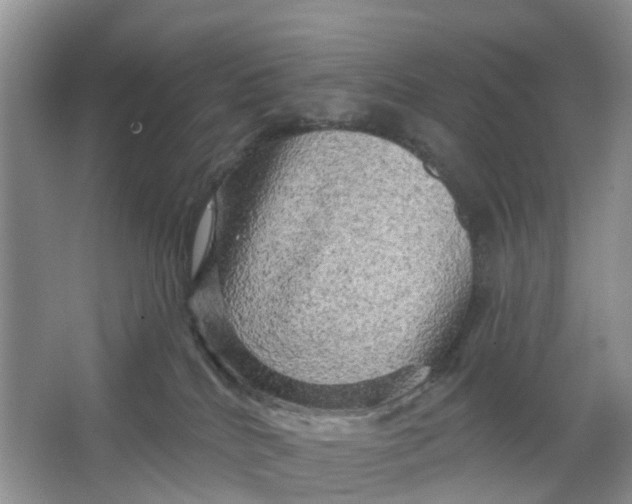 X0000066120040200603241621