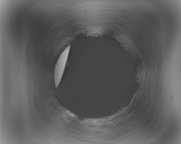 X0000066120041200603241621