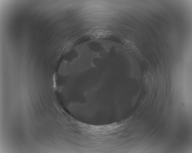 X0000066120042200603241621