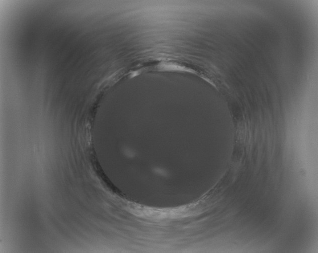 X0000066120043200603241621