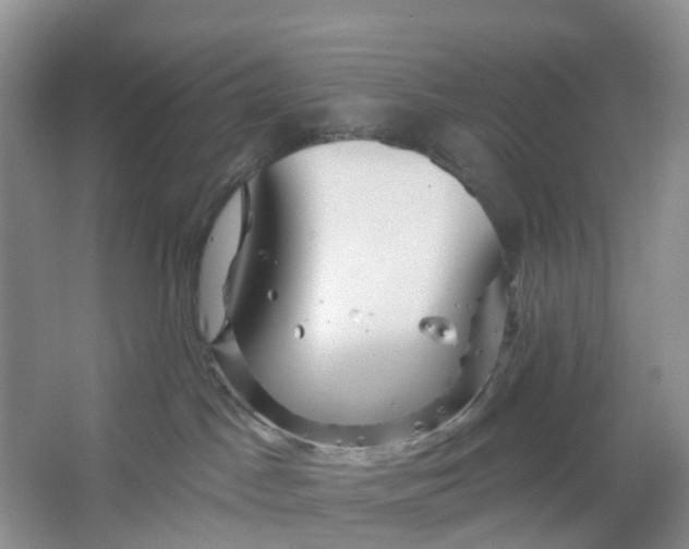 X0000066120045200603241621