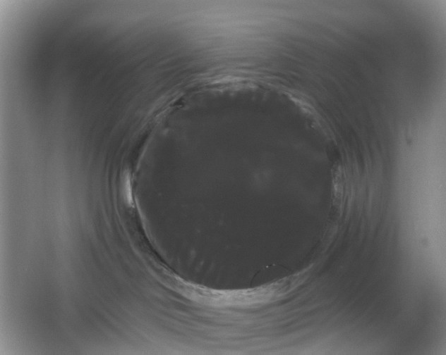 X0000066120046200603241621