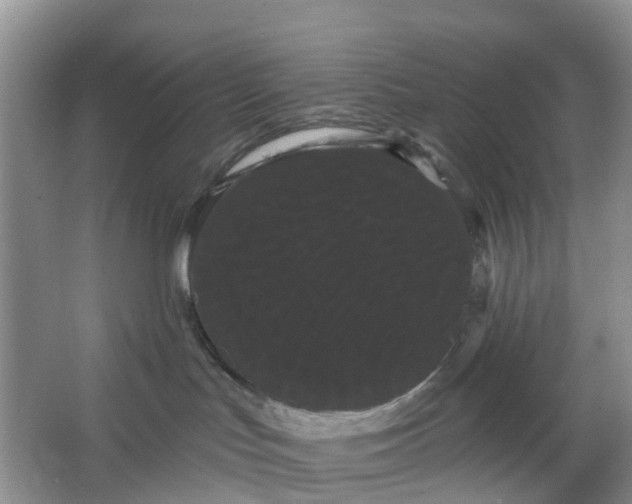 X0000066120047200603241621