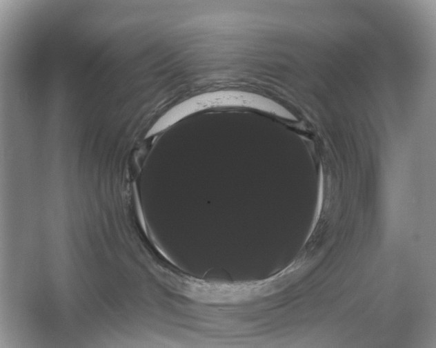 X0000066120048200603241621