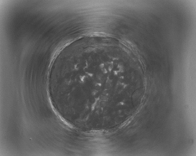 X0000066120049200603241621