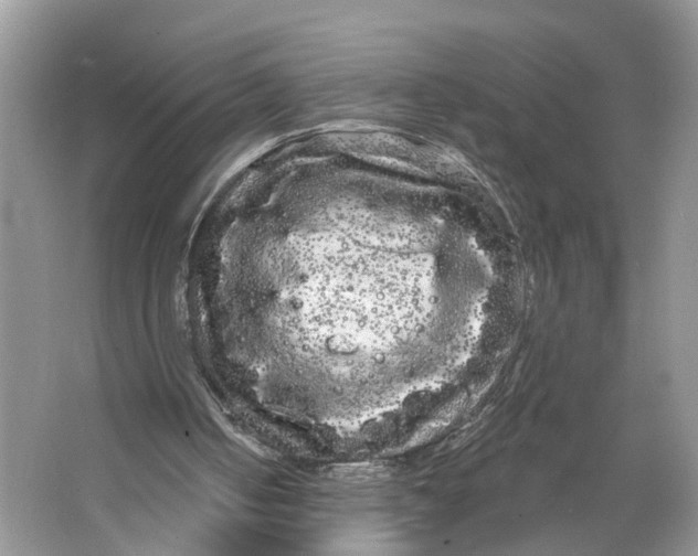 X0000066120050200603241621