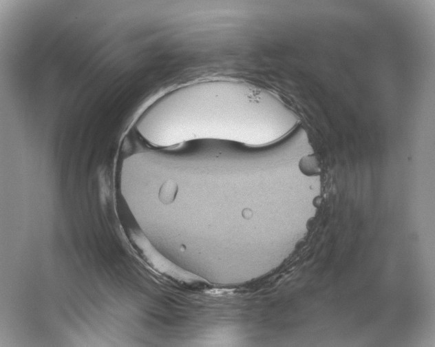 X0000066120052200603241621