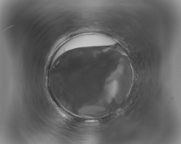 X0000066120053200603241621