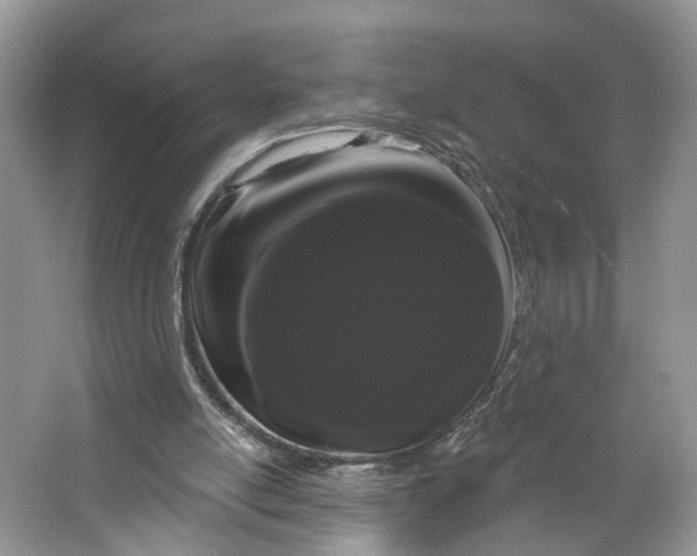 X0000066120054200603241621