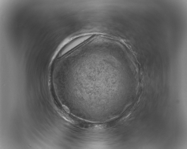 X0000066120056200603241621