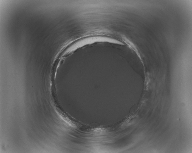 X0000066120059200603241621