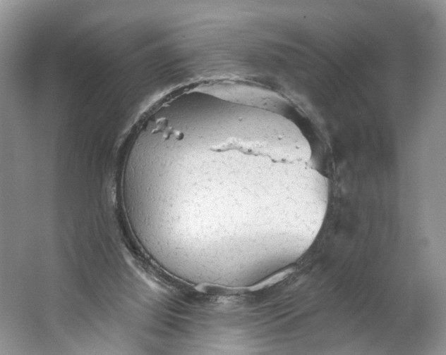 X0000066120060200603241621