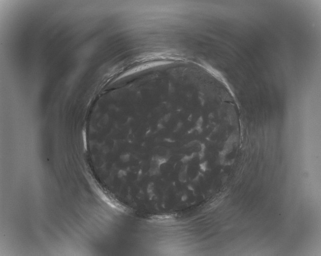 X0000066120061200603241621