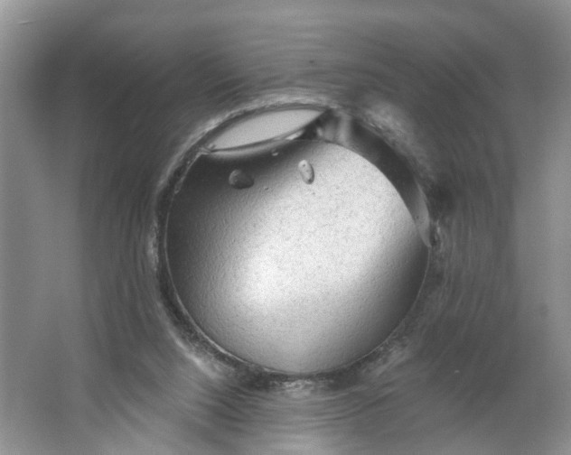 X0000066120064200603241621