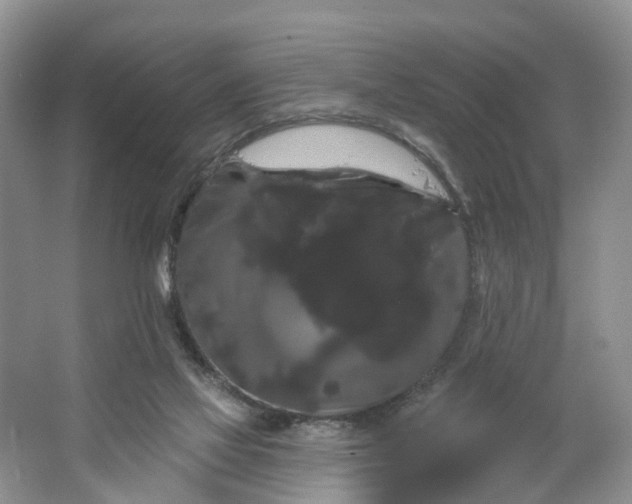 X0000066120069200603241621