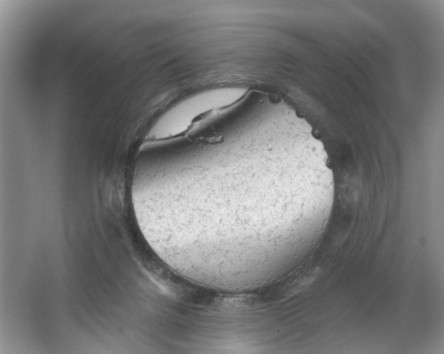 X0000066120072200603241621