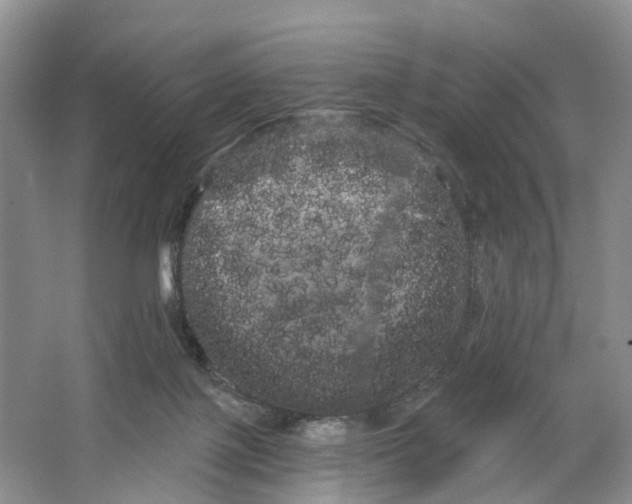 X0000066120075200603241621