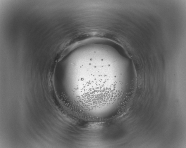 X0000066120078200603241621